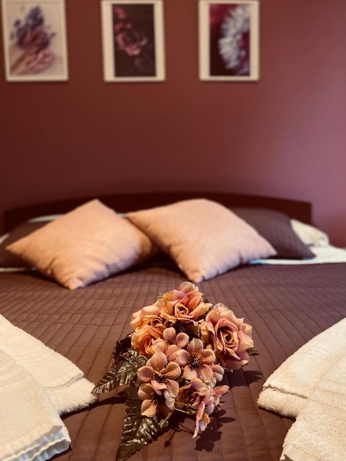 Dreams In Rome - Colosseum Apartment Exterior photo